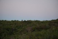 Black Lemur Camp 122.jpg