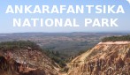 Ankarafantsika National Park banner 01.jpg