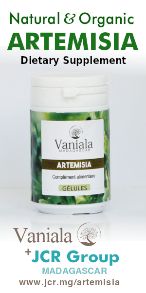 Artemisia banner 300x600 v1.jpg
