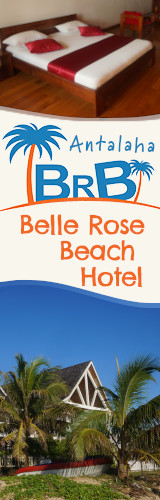 Belle Rose Beach Hotel banner 160x500 v1.jpg