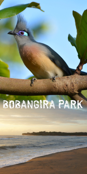 Bobangira banner 300x600 v1.jpg