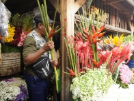 Antananarivo Flower Market 004.jpg