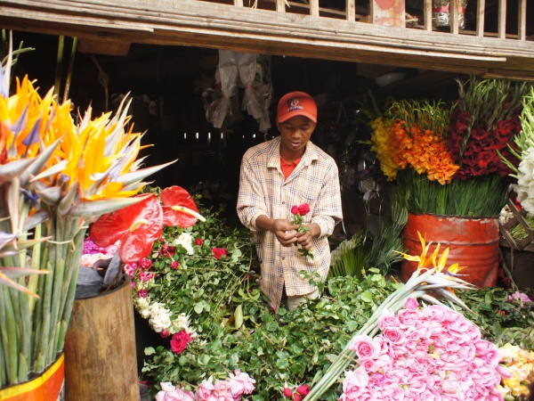 Antananarivo Flower Market 005.jpg