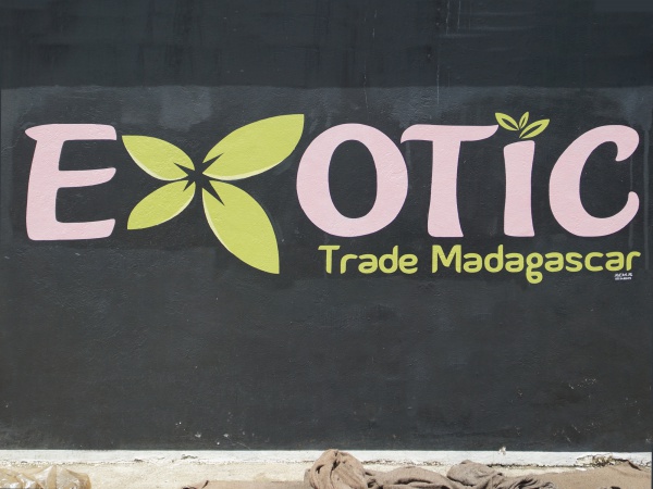 Exotic Trade 050.jpg