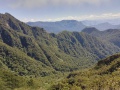 Marojejy National Park 900.jpg