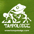 Tampolodge Square 01 animation.gif