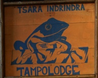 Tampolodge logo template.jpg