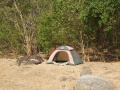 Tent spot in a valley at Sambirano River 003.jpg