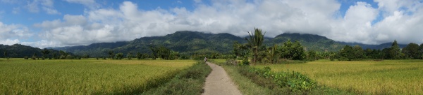 Trek Maroantsetra Antalaha 011.jpg