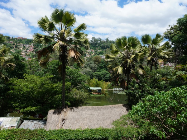 Image result for botanical and zoological garden of tsimbazaza