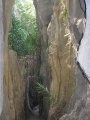 Tsingy de Bemaraha IMG 4578.jpg
