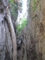 Tsingy de Bemaraha IMG 4580.jpg