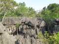 Tsingy de Bemaraha IMG 4605.jpg