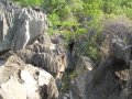 Tsingy de Bemaraha IMG 4610.jpg