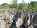 Tsingy de Bemaraha IMG 4611.jpg