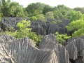 Tsingy de Bemaraha IMG 4636.jpg