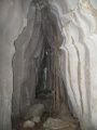 Tsingy de Bemaraha IMG 4694.jpg