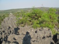 Tsingy de Bemaraha IMG 4758.jpg