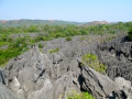Tsingy de Bemaraha IMG 4915.jpg