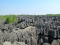 Tsingy de Bemaraha IMG 4916.jpg