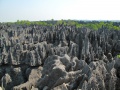 Tsingy de Bemaraha IMG 4917.jpg