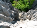 Tsingy de Bemaraha IMG 4920.jpg