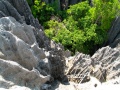 Tsingy de Bemaraha IMG 4921.jpg