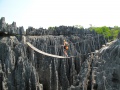 Tsingy de Bemaraha IMG 4932.jpg