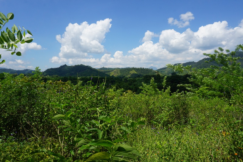 File:Vohitrarivo 028.jpg